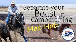 How to separate your beast in campdrafting [upl. by Gretchen]