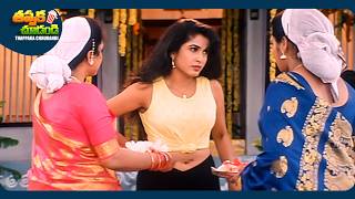 Ramya Krishnan And Shrikanth Latest Telugu Movie Scene  ThappakaChudandi9 [upl. by Adnahs552]