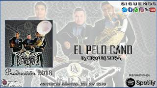 La Gran Reserva Oficial  El Pelo Cano  quotProducción 2018quot [upl. by Sivi815]