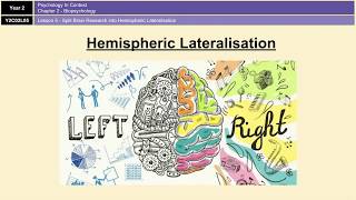 ALevel Psychology AQA Biopsychology  Hemispheric Lateralisation and Split Brain Research [upl. by Mini]