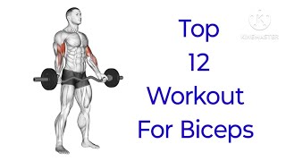 Top 12 Workout For Biceps l Mohit Fitness [upl. by Eeloj]