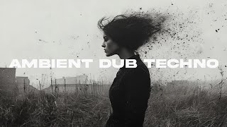 AMBIENT DUB TECHNO MIX quotShades Of Gray 1quot [upl. by Aihsirt626]