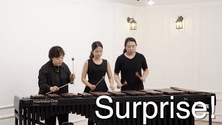 Surprise  Marimba Trio [upl. by Burdett]