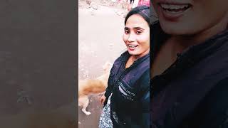 Han ji bilkul pyar karenge sidha Dil per war karenge 🦮🦮 Hindi song support subscribe [upl. by Runkle826]