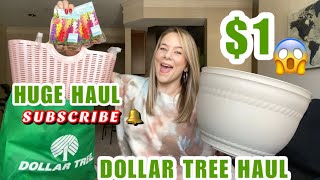 NEW DOLLAR TREE HAULHUGEBRAND NAME ITEMSNEW ITEMSAMAZING FINDS [upl. by Gizela]