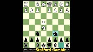 Stafford Gambitchess [upl. by Asiuol]