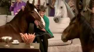 ATG  Do you know your horses Commercial [upl. by Esra523]