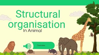 Structural organisation in animals class11 NEET 2025 part 1 [upl. by Gladdie]