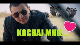 Młode Wilki feat JAREK BANDZIOREK amp DANUSIA  KOCHAJ MNIE Official video4k 2024 [upl. by Ettelegna]