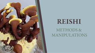 Reishi Mushroom Growing Methods amp Manipulations [upl. by Aneleve]