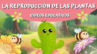 La REPRODUCCIÓN de las plantas 💚 [upl. by Enilegnave]