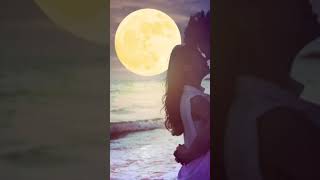 Chahunga Main Tujhe Hardam Tu Meri Zindagi🫀  Ringtone  Slowed Reverb  Lofi  Status Male  Lyrics [upl. by Aseram]