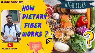 what is dietary fiber in bengali  How dietary fiber works ফাইবার বা আঁশ যুক্ত খাদ্য। [upl. by Krid874]