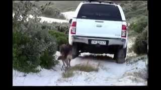 Buffeljagsbaai  Plaatjieskraal Jun 2014 part 1 of 2 [upl. by Osicnarf961]