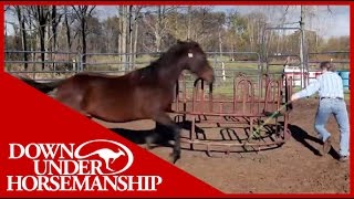 Clinton Anderson Presents Running Scared Training An Aggressive Horse [upl. by Elyod]