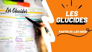 📣 Biochimie 1 Révision DES GLUCIDES PARTIE 01  Les Oses en détails👌 biologyUSTHBBIOCHIMIE [upl. by Ramsa]