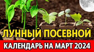 Когда сеять на рассаду в МАРТЕ 2024 Точный лунный посевной календарь на март 2024 по дням [upl. by Mainis964]