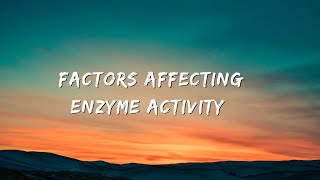 Factors Affecting Enzyme Activity [upl. by Rickie962]