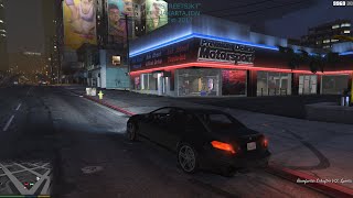 Grand Theft Auto V Offline Customization Benefactor Schafter V12 [upl. by Krigsman]