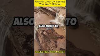 GRAND CANYON Secrets You Wont Believe facts [upl. by Leciram]