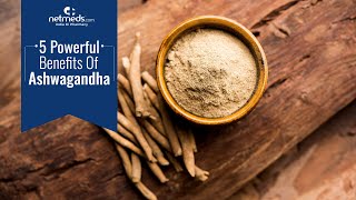 5 Powerful Benefits Of Ashwagandha  Ashwagandha Churna Recipe [upl. by Armbrecht]