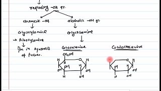 12 Sugar derivatives Part 1 [upl. by Reniar]