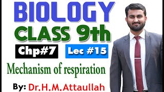 Mechanism of respiration  Bioenergetics  Chapter 7  9th class Biology  Lec 15 [upl. by Etra]