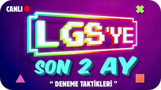 LGS Deneme Netlerini TAVAN YAPACAK TAKTİKLER❗ LGSYE SON 2 AY 🎯 [upl. by Etteloc611]