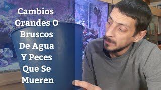 🔵 Cambios Grandes O Bruscos De Agua Y Peces Qué Se Mueren Acuarios MB [upl. by Aivax274]