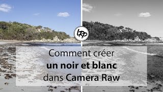 Comment créer un NOIR et BLANC dans CAMERA RAW [upl. by Park]