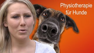 Physiotherapie für Hunde  Praxis Pfote [upl. by Ecnaralc460]