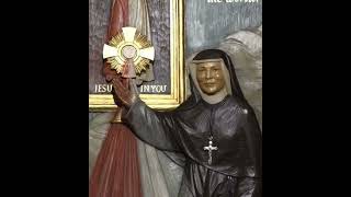 Saint Faustina Diary 268 inspiration saintfaustina catholic christian christianity god love [upl. by Dnalor816]