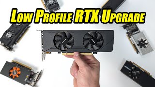 This New Low Profile GPU Might Just Be What Your SFF PC Needed [upl. by Tammara]