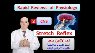 Physiology ReviewsCNS Stretch reflex [upl. by Kinsler]