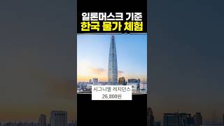 일론머스크 기준 한국 물가 체험 [upl. by Ttnerb]