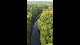 Drone video Liberty County flooding [upl. by Ursal]