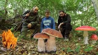 Centinaia di PORCINI i FUNGHI della faggeta [upl. by Nosila162]