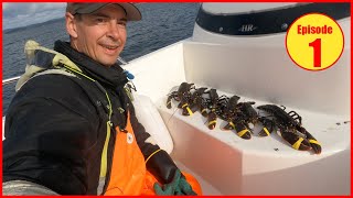 Hummerfiske 2023 BIG catch on the first lobster haul of the year in Norway [upl. by Cami]