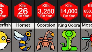 Comparison Deadliest Animals [upl. by Merralee]