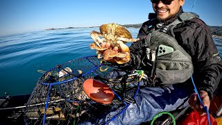 Kayak Crabbing Catching The Most Delicious Crab  Dungeness Crab [upl. by Barrett]