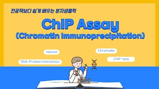 A16 ChIP Assay Chromatin Immunoprecipitation [upl. by Eitteb879]