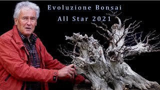 Evoluzione Bonsai All Star 2021 [upl. by Converse]