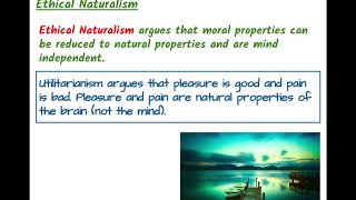 Meta Ethics  Naturalist and Non Naturalist theories [upl. by Notlrac]