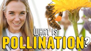 What is pollination  Plants for kids  Beekeeping with Maddie [upl. by Hares]