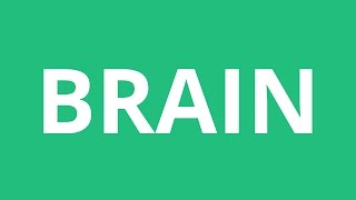 How To Pronounce Brain  Pronunciation Academy [upl. by Leonteen]