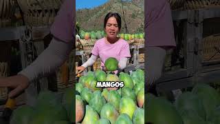 ¡Increíble Mangos Sin Semillas en una Granja Asiática 🥭✨ shorts [upl. by Alanson]