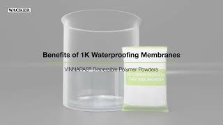 Benefits of 1K Waterproofing Membranes – VINNAPAS® Dispersible Polymer Powders [upl. by Nadirehs696]