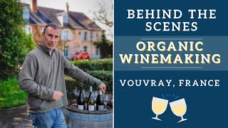 CAN AMERICANS MAKE GOOD FRENCH WINE  Day with an organic Vouvray wine maker [upl. by Nyrek]