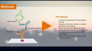 peroxidase and anti peroxidase method vedio [upl. by Azial417]