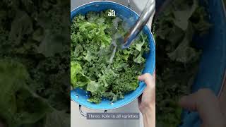 The 5 Best Cruciferous Vegetables You Should Eat Daily [upl. by Retsel]